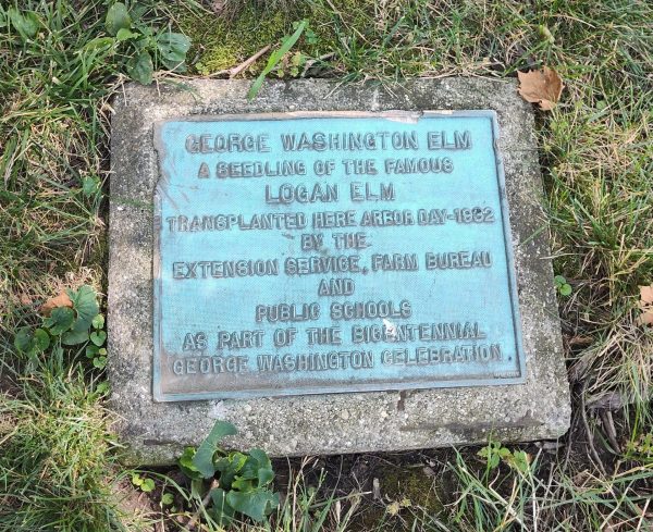 GEORGE WASHINGTON ELM TREE MEMORIAL PLAQUE GREENVILLE