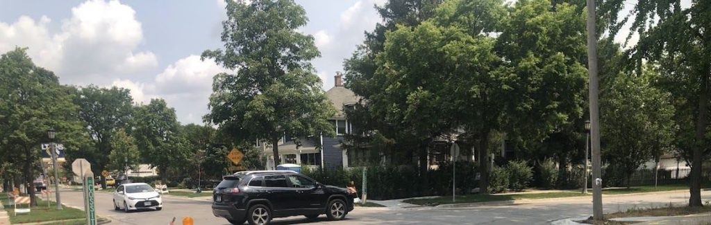 LAGRANGE WORLD WAR MEMORIAL TREES