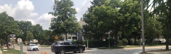 LAGRANGE WORLD WAR MEMORIAL TREES