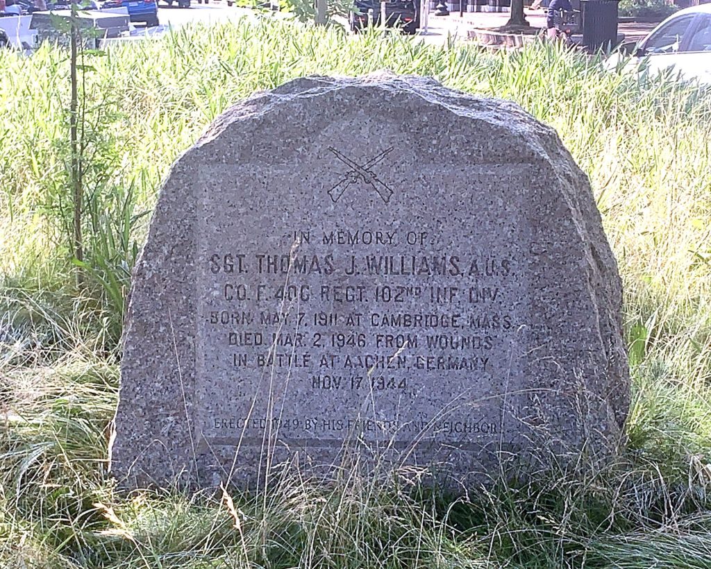 SGT. THOMAS J. WILLIAMS WAR MEMORIAL ROCK