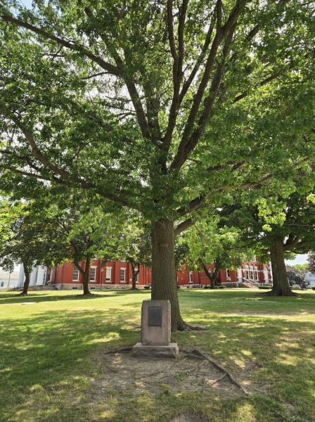 ALBION LIBERTY TREE MEMORIAL