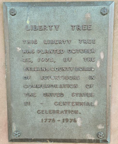 ALBION LIBERTY TREE MEMORIAL PLAQUE