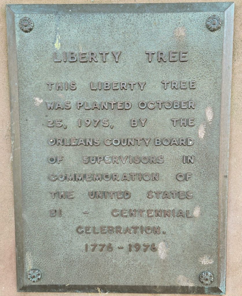 ALBION LIBERTY TREE MEMORIAL PLAQUE
