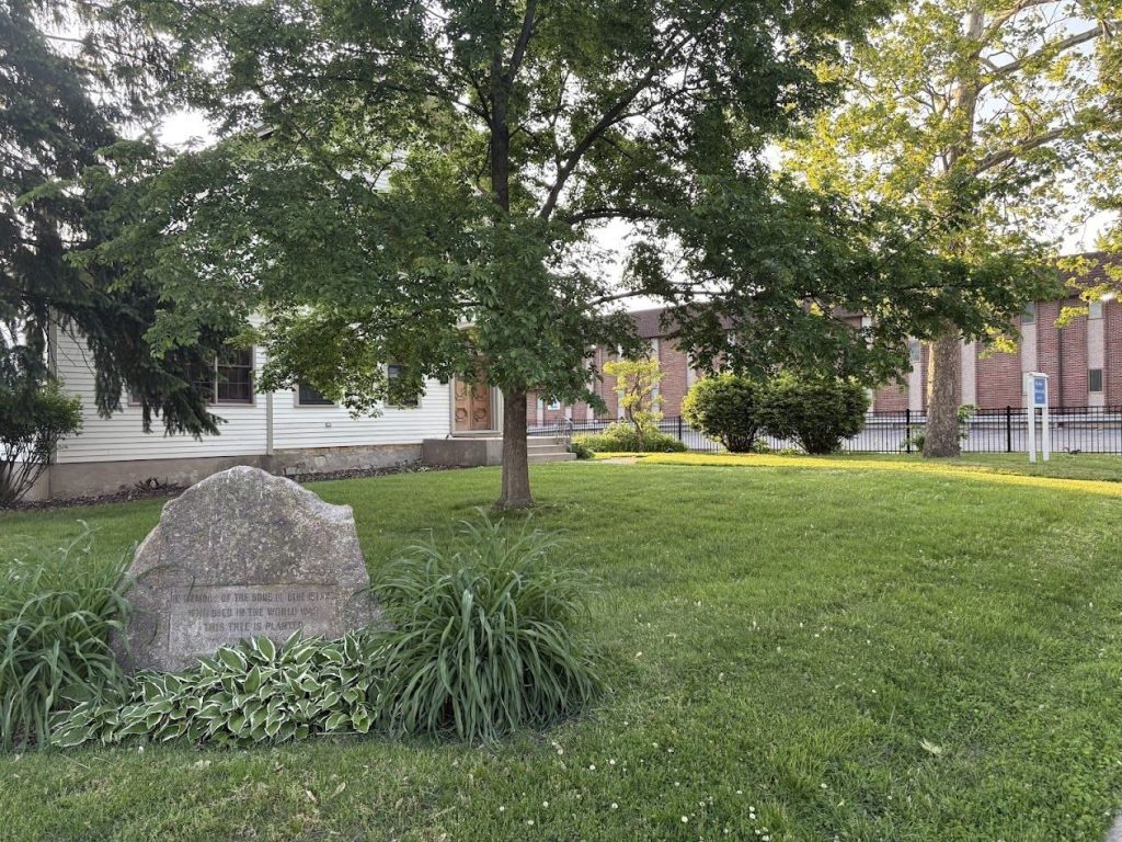 BLUE ISLAND WORLD WAR MEMORIAL TREE