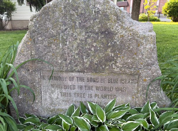 BLUE ISLAND WORLD WAR MEMORIAL TREE STONE