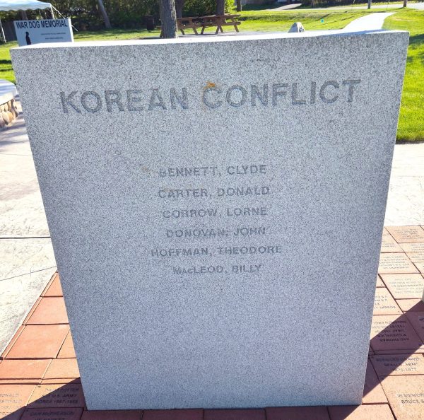 CHEBOYGAN COUNTY VETERANS MEMORIAL PARK STONE F