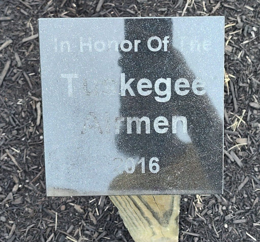 IN HONOR OF THE TUSKEGEE AIRMEN MEMORIAL TREE PLAQUE