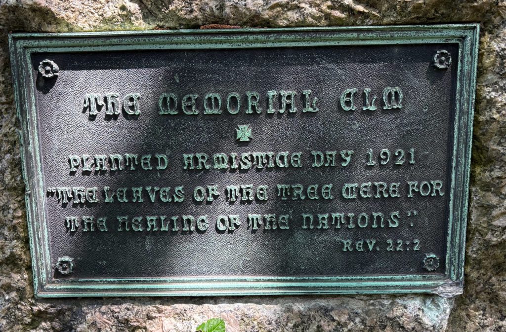 THE MEMORIAL ELM PLAQUE