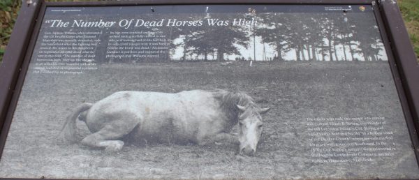 “THE NUMBER OF DEAD HORSES WAS HIGH” WAR MEMORIAL PANEL