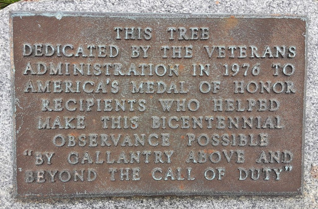 THIS TREE VETERANS ADMINISTRATION MEDAL OF HONOR RECIPIENTS WAR MEMORIAL PLAQUE