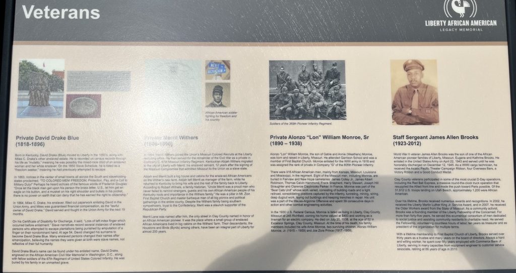 VETERANS LIBERTY AFRICAN AMERICAN MEMORIAL PANEL