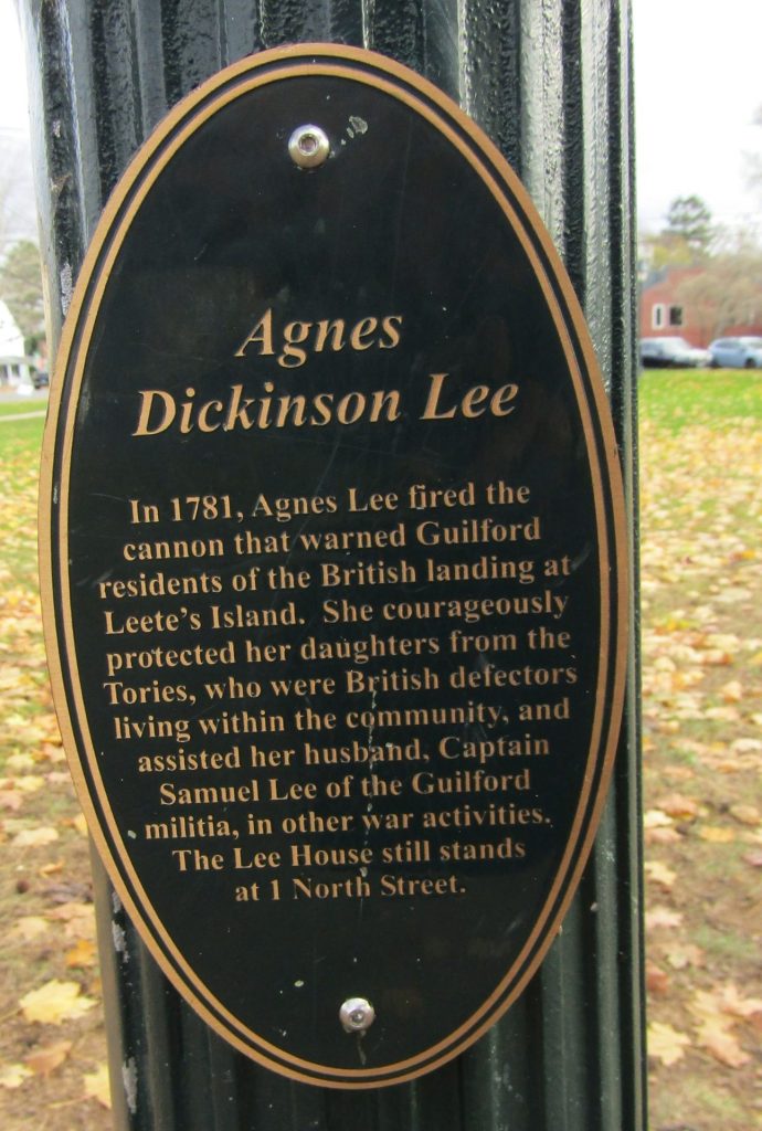 AGNES DICKINSON LEE REVOLUTIONARY WAR MEMORIAL LIGHT POLE PLAQUE