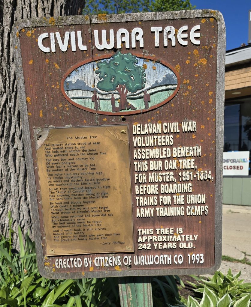 CIVIL WAR MUSTER TREE MEMORIAL PLAQUE