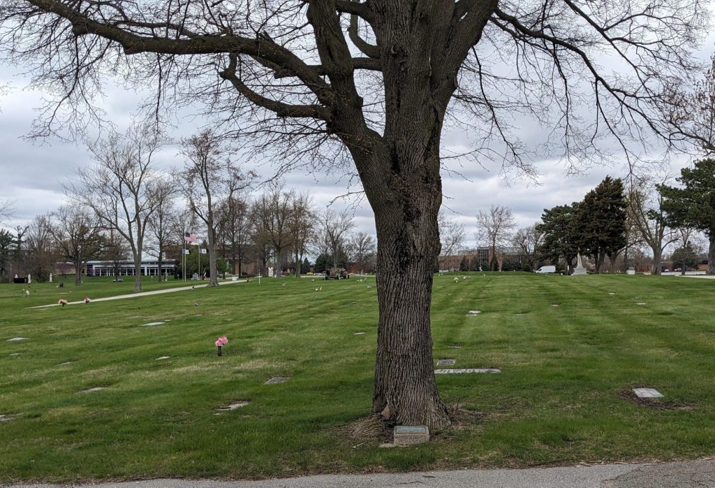 NAVY MOTHERS CLUB NO. 650 VETERANS MEMORIAL TREE