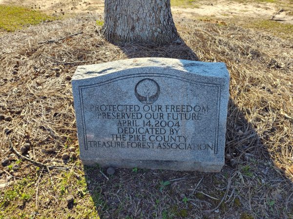 THE PIKE COUNTY TREASURER FOREST ASSOCIATION VETERANS MEMORIAL TREE PLAQUE