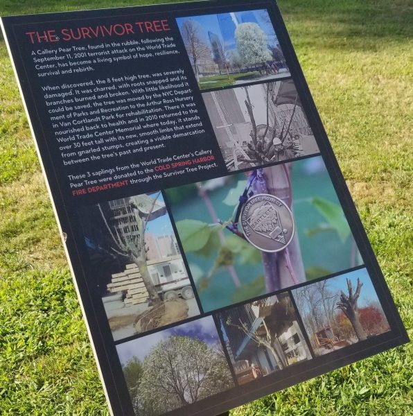 THE SURVIVOR TREE MEMORIAL PANEL