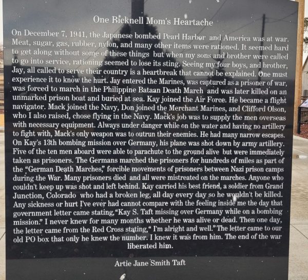 BICKNELL WAR VETERANS MEMORIAL STONE D