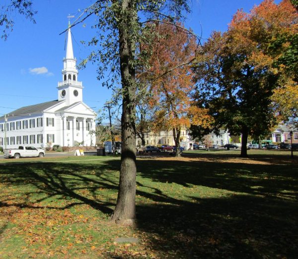 GUILFORD GARDEN CLUB SEPTEMBER 11, 2001 MEMORIAL TREE