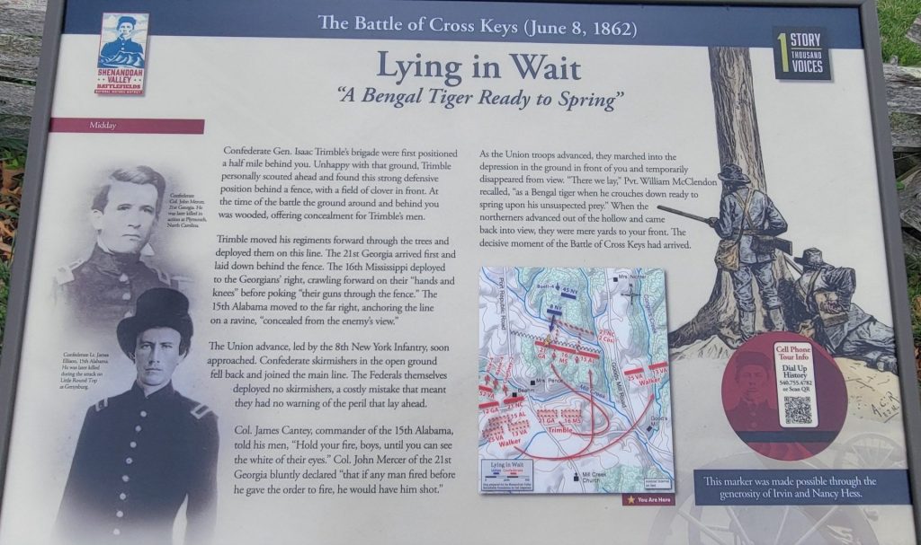 LYING IN WAIT WAR MEMORIAL PANEL