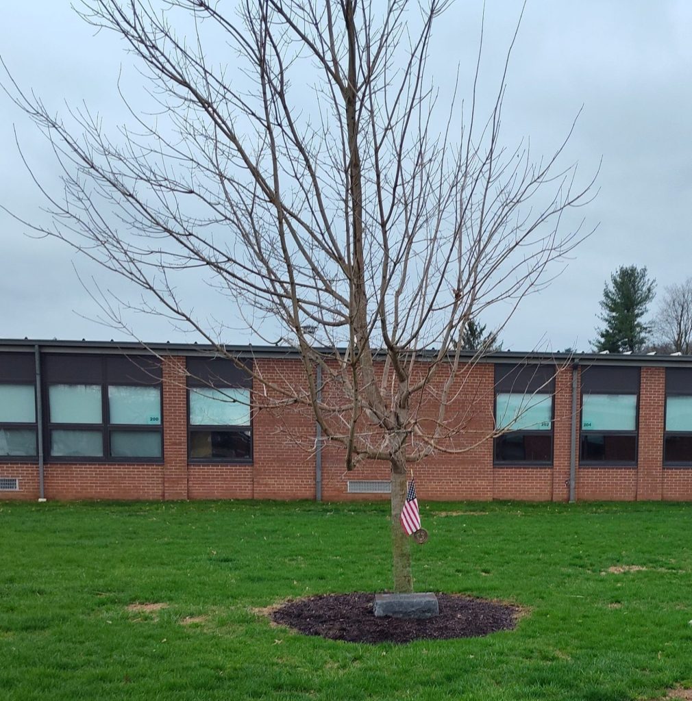 SPC DAMON G. WINKLEMAN WAR MEMORIAL TREE