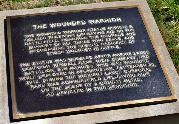 WOUNDED WARRIOR-COMBAT MEDIC STATUE MEMORIAL PLAQUE C