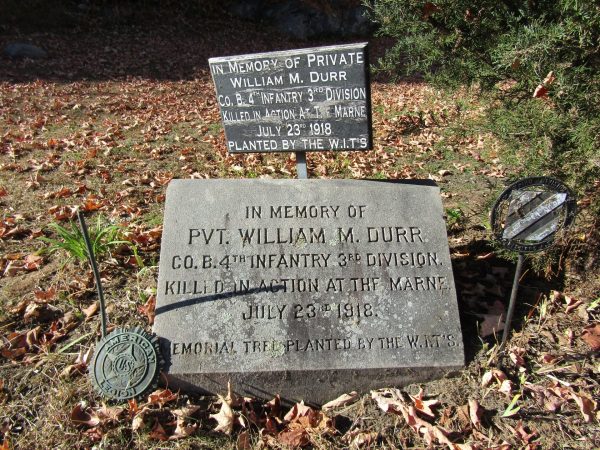 PVT. WILLIAM M. DURR WAR MEMORIAL TREE STONE