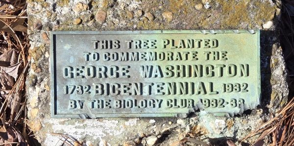 GEORGE WASHINGTON BICENTENNIAL TREE MEMORIAL PLAQUE THOMASTON