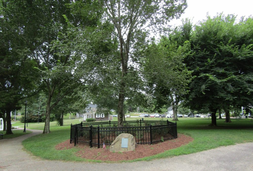 LIBERTY TREE MEMORIAL MASHPEE