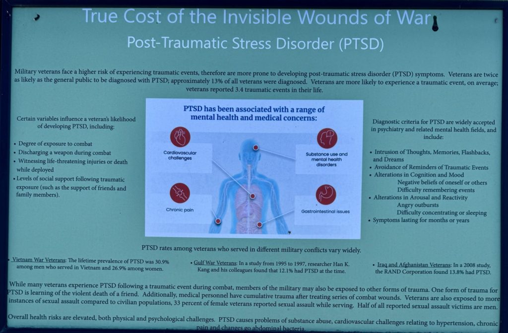 POST-TRAUMATIC STRESS DISORDER WAR MEMORIAL PANEL