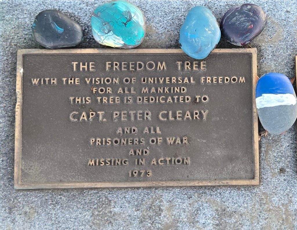 THE FREEDOM TREE CAPT. PETER CLEARY WAR MEMORIAL PLAQUE