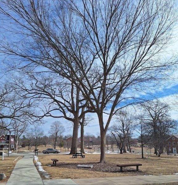THE RECRUITING ELM MEMORIAL
