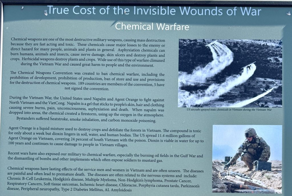 TRUE COST OF THE INVISIBLE WOUNDS OF WAR MEMORIAL PANEL