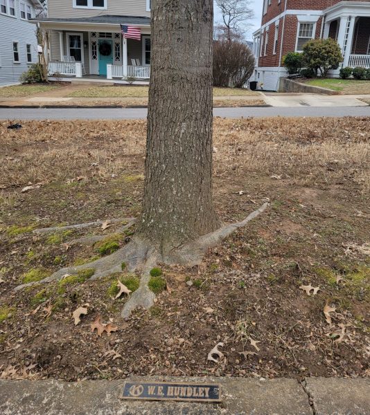 W.E. HUNDLEY KIWANIS INTERNATIONAL WAR MEMORIAL TREE AND PLAQUE