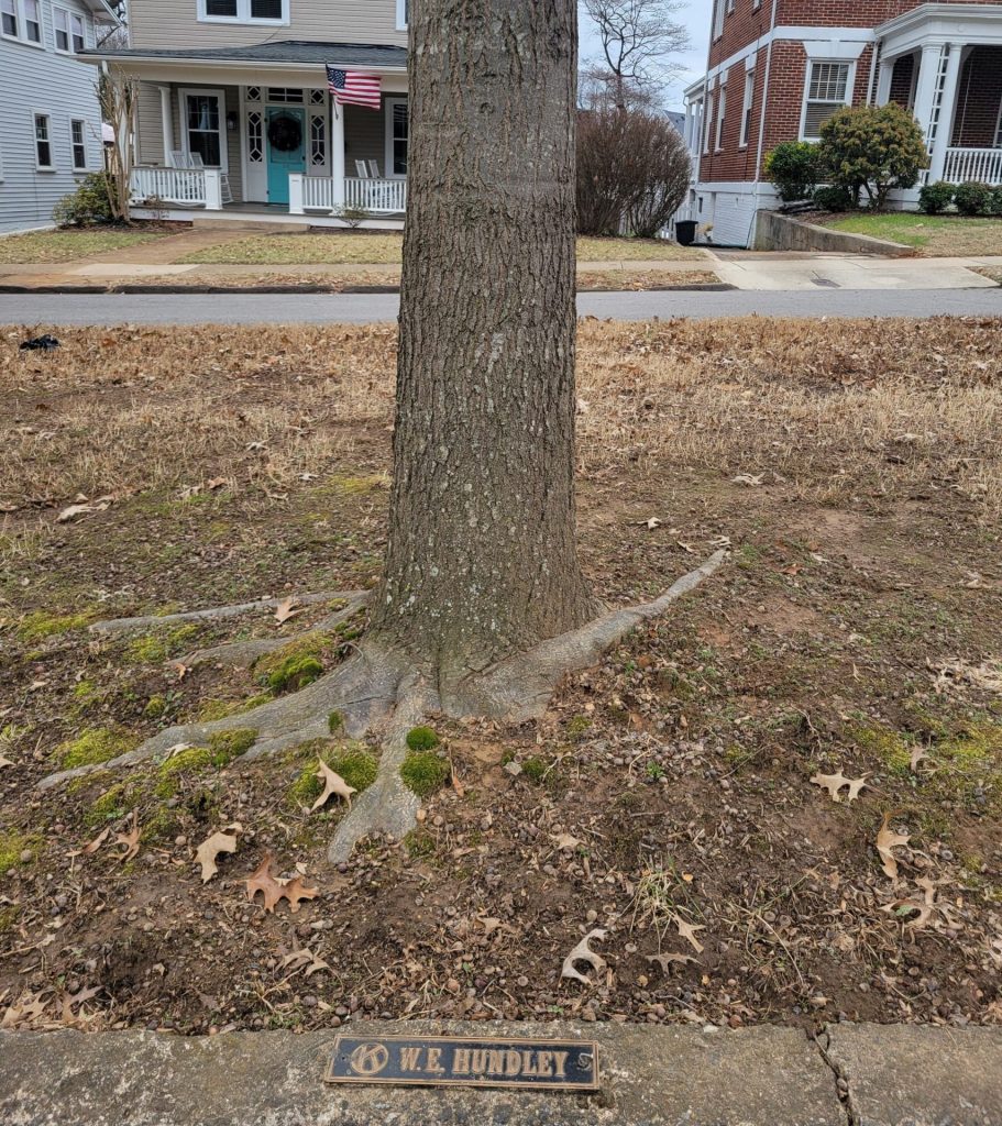 W.E. HUNDLEY KIWANIS INTERNATIONAL WAR MEMORIAL TREE AND PLAQUE