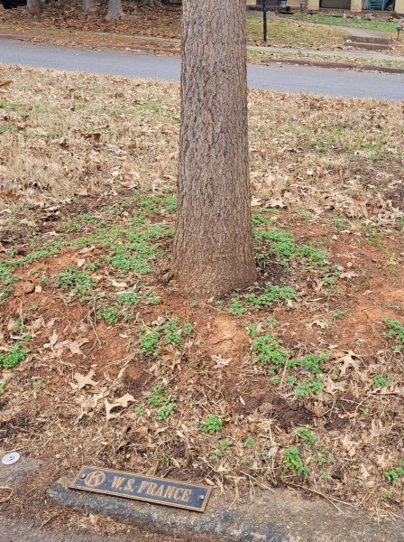 W.S. FRANCE KIWANIS INTERNATIONAL WAR MEMORIAL TREE AND PLAQUE
