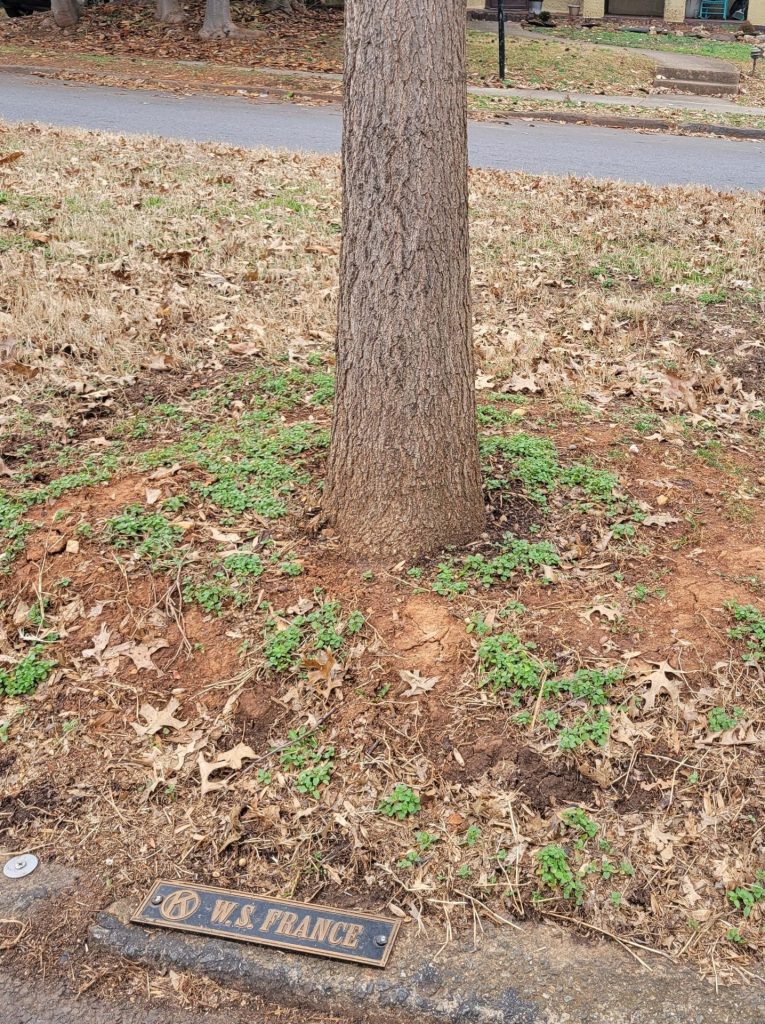 W.S. FRANCE KIWANIS INTERNATIONAL WAR MEMORIAL TREE AND PLAQUE
