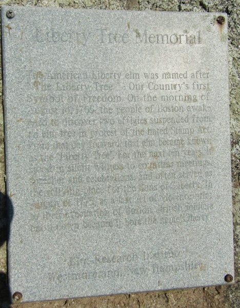 LIBERTY TREE MEMORIAL STONE CLINTON