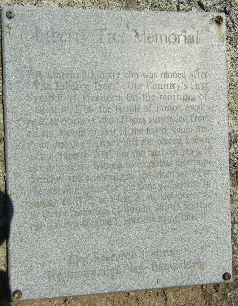 LIBERTY TREE MEMORIAL STONE CLINTON