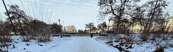 TRIBUTE TREES MEMORIAL