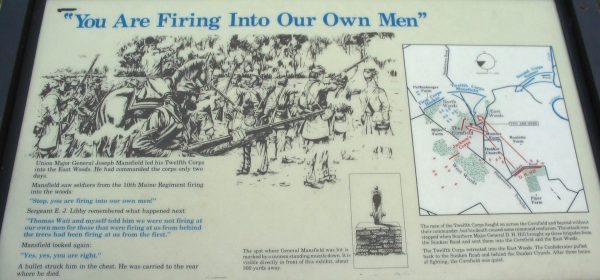 “YOU ARE FIRING INTO OUR OWN MEN” WAR MEMORIAL PANEL