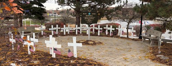 COUNTY OF DUPAGE BLUE STAR MEMORIAL