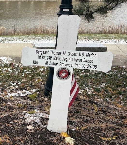 COUNTY OF DUPAGE BLUE STAR MEMORIAL CROSS D