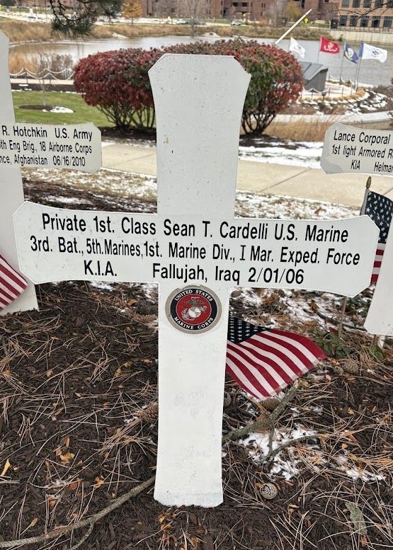 COUNTY OF DUPAGE BLUE STAR MEMORIAL CROSS H