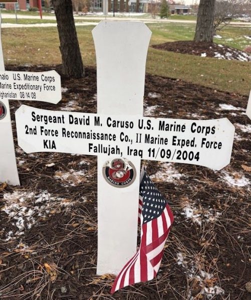 COUNTY OF DUPAGE BLUE STAR MEMORIAL CROSS P