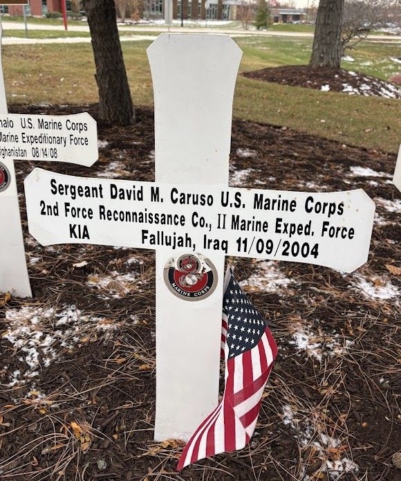 COUNTY OF DUPAGE BLUE STAR MEMORIAL CROSS P