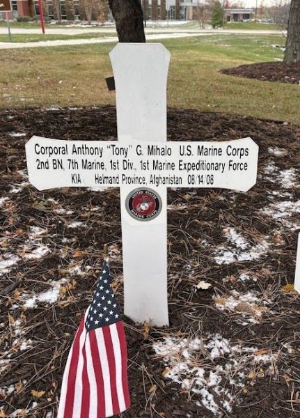 COUNTY OF DUPAGE BLUE STAR MEMORIAL CROSS Q