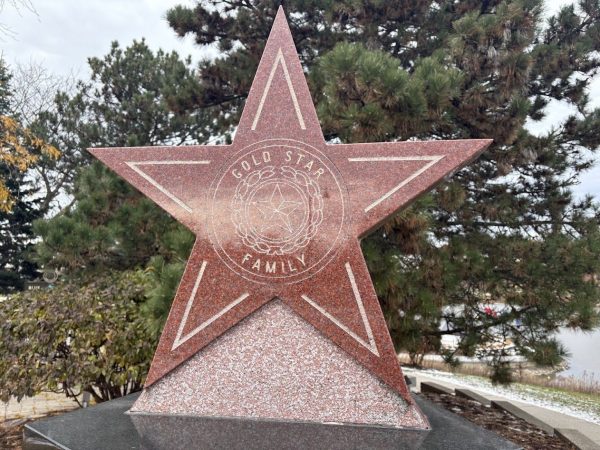COUNTY OF DUPAGE GOLD STAR FAMILIES MEMORIAL STAR