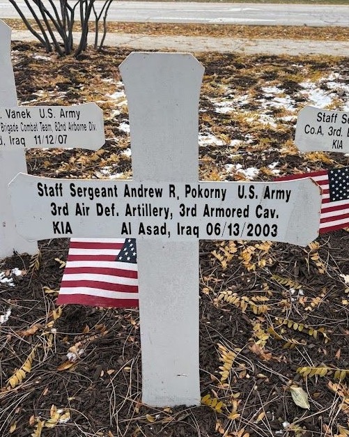 COUNTY OF DUPAGE BLUE STAR MEMORIAL CROSS Y