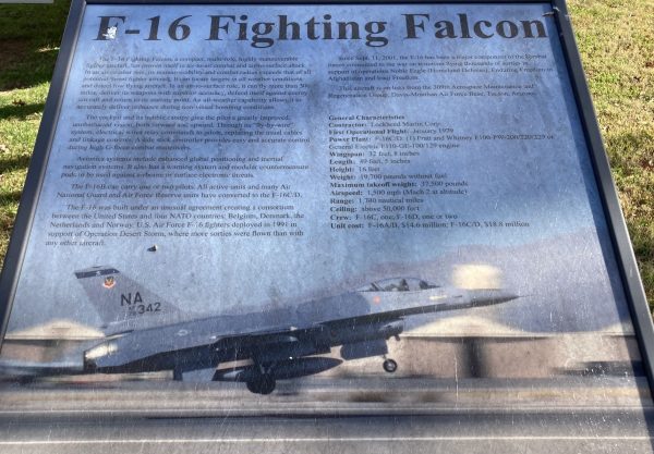 F-16 FIGHTING FALCON WAR MEMORIAL PANEL