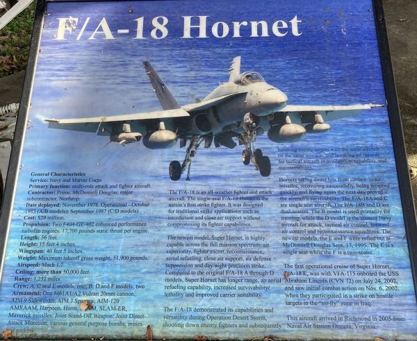 F/A-18 HORNET WAR MEMORIAL PANEL